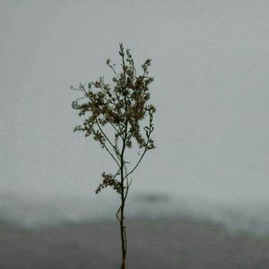 潘金莲裸体被强高潮
