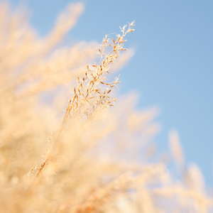 潘金莲裸体被强高潮
